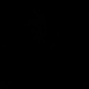 Meet your Posher, Shantae